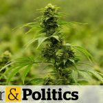 Cannabis stocks continue to tumble | Power & Politics