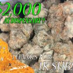 SPENDING $1000 AT THE DISPENSARY FOR 1000 SUBSCRIBERS!!!!