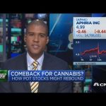 Cannabis stocks may be relighting in 2020