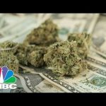 Warren Buffet Of Weed On Why You Should Invest In Cannabis | CNBC